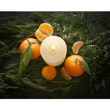 Aromatic Orange & Evergreen Fragrance Oil