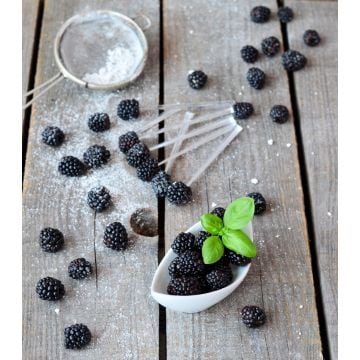 Blackberries & Basil Type Fragrance Oil