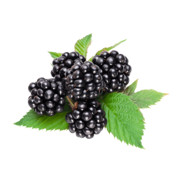 PW Blackberry Fragrance Oil **