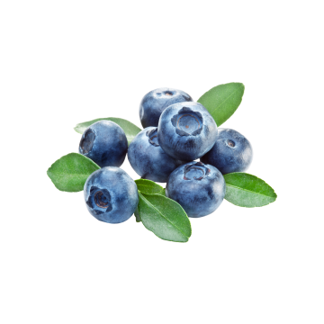 PW Blueberry Fragrance Oil**