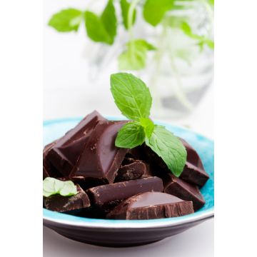 Chocolate Mint Fragrance Oil