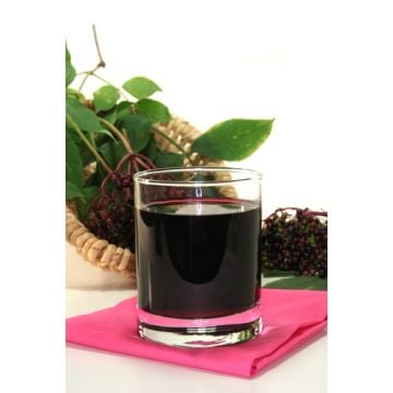 Elderberry Wine Fragrance Oil