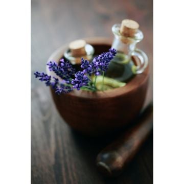 Lavender Special Fragrance Oil