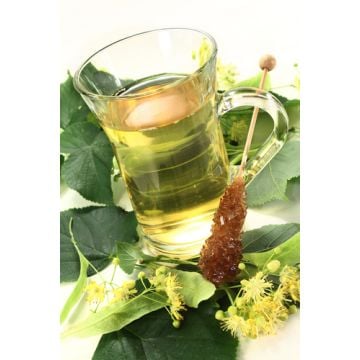 Lime Blossom Tea Fragrance Oil