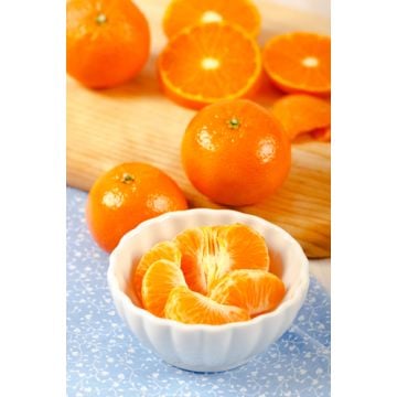 Mandarin Orange Fragrance Oil