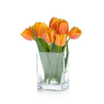 Orange Tulips Fragrance Oil **