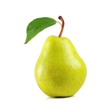 Orchard Pear Fragrance Oil **