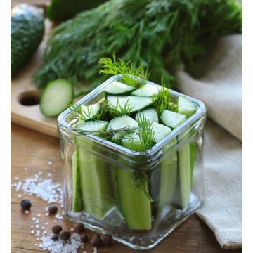 Salted Cucumber Tonic Fragrance Oil