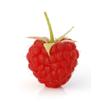 Sun Ripened Raspberry Fragrance Oil