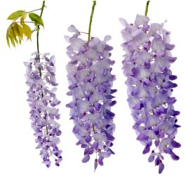 Wisteria Fragrance Oil