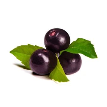 Acai Berry Fragrance Oil