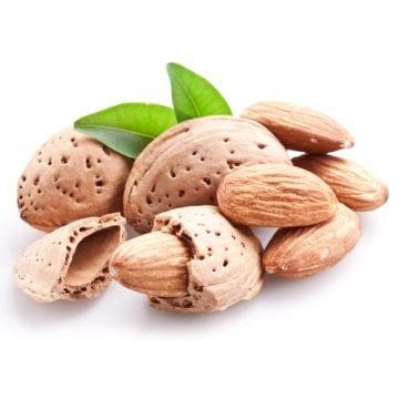 Almond Fragrance Oil