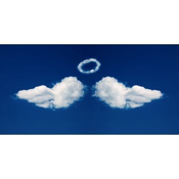 Angel Whisper Fragrance Oil