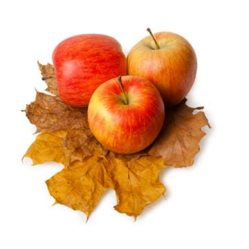Apples & Oak Fragrance Oil