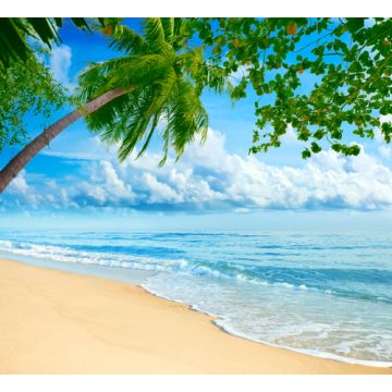 Bahama Breeze Type Fragrance Oil