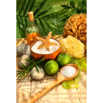 Bath & Body Type Fragrance Sampler Set: 10 - 1 oz. bottles. One each of: Black Raspberry Vanilla, Blackberry Amber, Coconut Lime, Cotton Blossom, Cucumber Melon, Moonlight Path, Peony, Plumeria, Secret Waterfall, Sweet Pea