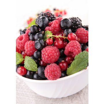 Berry Fragrance Sampler Set: 10 - 1 oz. bottles. One each of: Alaskan Wild Berries, Apple Berry, Black Cherry, Black Raspberry Vanilla, Fresh Strawberry, Mulberry, Strawberries & Cream, Twigs & Berries, Vanilla & Fresh Berries, White Berries