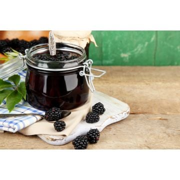 Blackberry Jam Fragrance Oil **