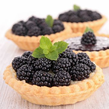Blackberry Pie Fragrance Oil +