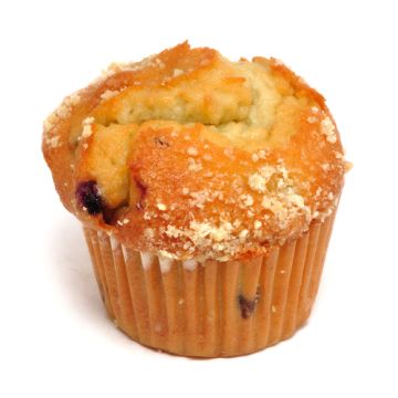Special Blueberry Muffin: 16 oz. Bottle