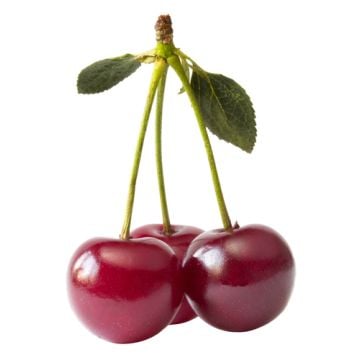 Cherilicious: 1 pound bottle