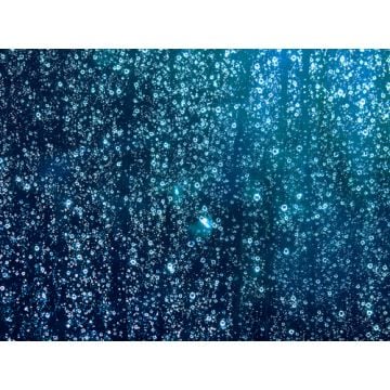 China Rain Fragrance Oil