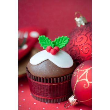 Christmas Cupcake Fragrance Oil