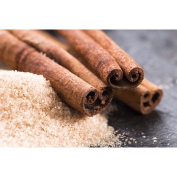 Cinnamon & Sugar Fragrance Oil-1 oz. sample bottle