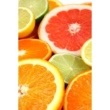 Citrus Odor Eliminator Fragrance Oil