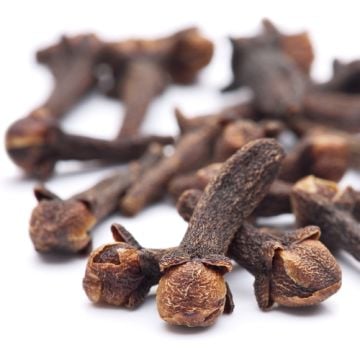 Clove Fragrance Oil