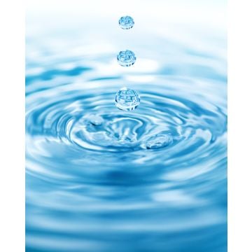 Cool Water  Fragrance Oil