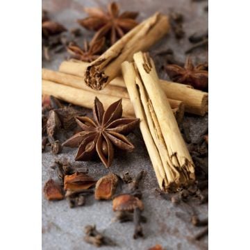 Country Fragrance Sampler Set: 10 - 1 oz. bottles. One each of: Country Air, Country Apple, Country Berry Hotcakes, Country Cinnamon, Country Coconut, Country Cranberry, Country Kitchen, Country Spice, Country Vanilla, Primitive Gatherings