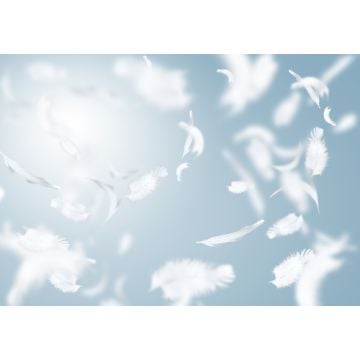 Downy Clean Breeze Type Fragrance Oil