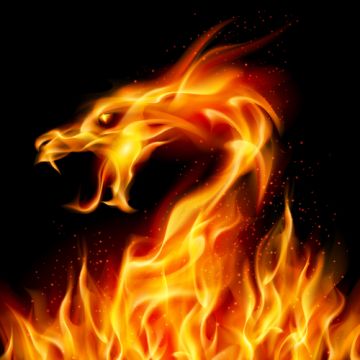 Dragons Blood Fragrance Oil
