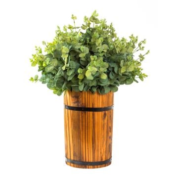 Special Eucalyptus: 16 oz. Bottle