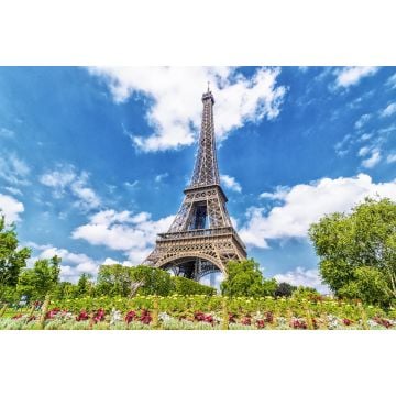 French Air Fragrance Oil