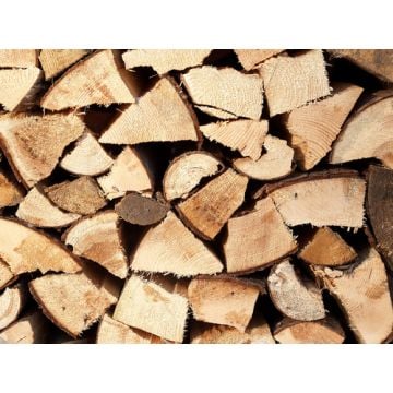 Fresh Cut Wood Fragrance Oil