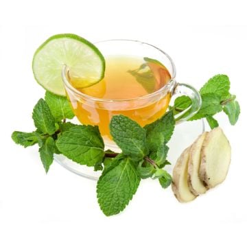 Fresh Ginger Lime Fragrance Oil