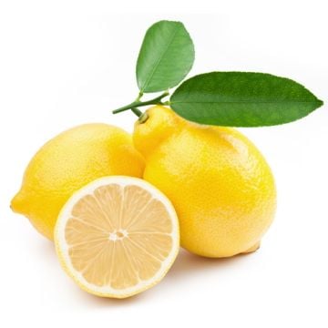 Fresh Lemon Fragrance Oil