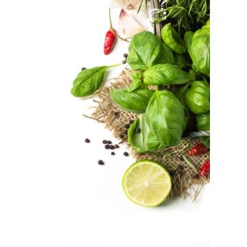 Fresh Lime Basil Fragrance Oil