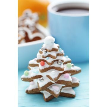 Gingerbread Tree Fragrance Oil