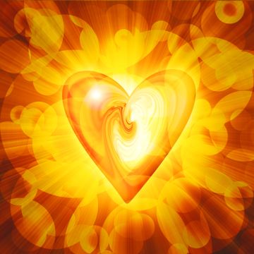 Golden Amber Fragrance Oil