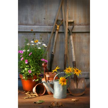 Grandpa's Garden Fragrance Oil