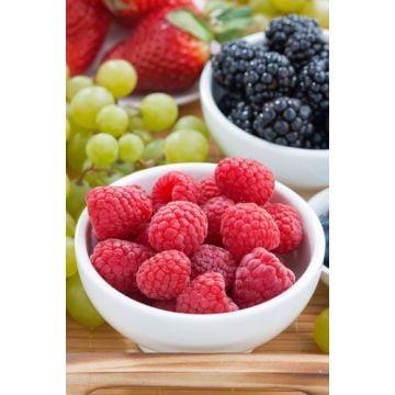 Grape Berry Fragrance Oil **