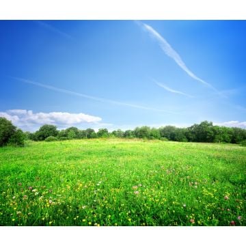 Green Valley Meadows Fragrance Oil