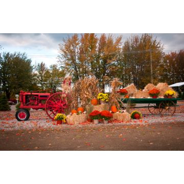 Hayride Fragrance Oil