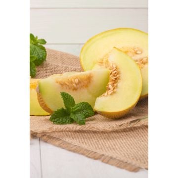 Honeydew Melon Fragrance Oil