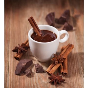 Hot Chocolate Fragrance Oil