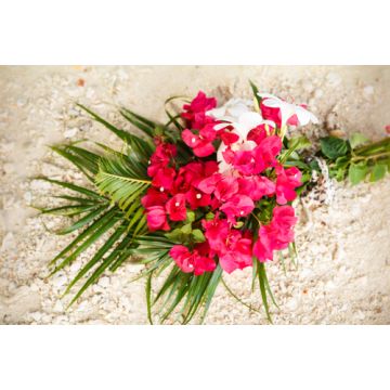 Island Bouquet Fragrance Oil