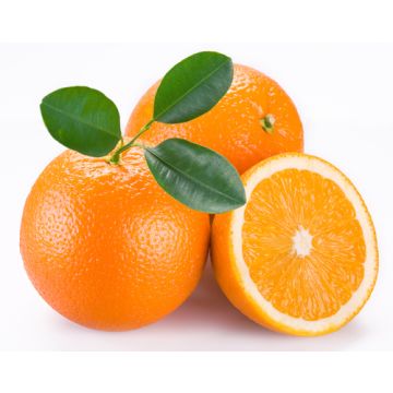 Jeweled Citrus Fragrance Oil